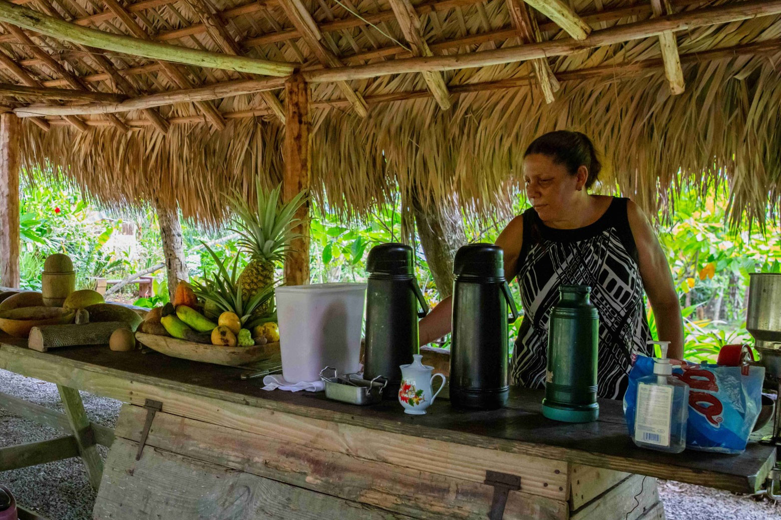 Casa Típica conuco de doña Ana Casa Típica conuco de doña Ana