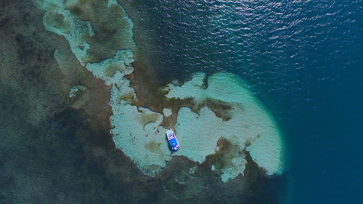Turistas de The Carpia Tours haciendo snorkeling en Media Luna Image